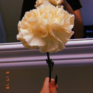 Meet your Posher, Shevelle